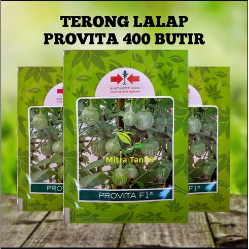 BENIH BIBIT TERONG LALAP BULAT HIJAU PROVITA SP 400 BUTIR CAP PANAH MERAH