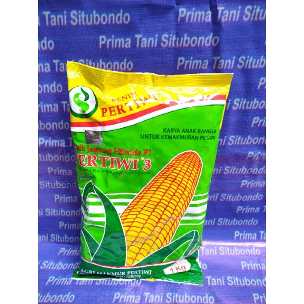 Bibit jagung Pertiwi 3