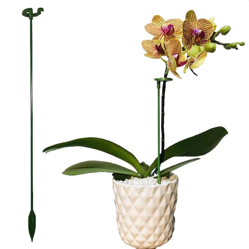 [10 Pcs/1 Set Plant Pot Support Holder Holder] [Plant Single Pole Support Stake, Flower Support Pole] [Special Holder for Phalaenopsis] [Garden Tools]/Hot Sale