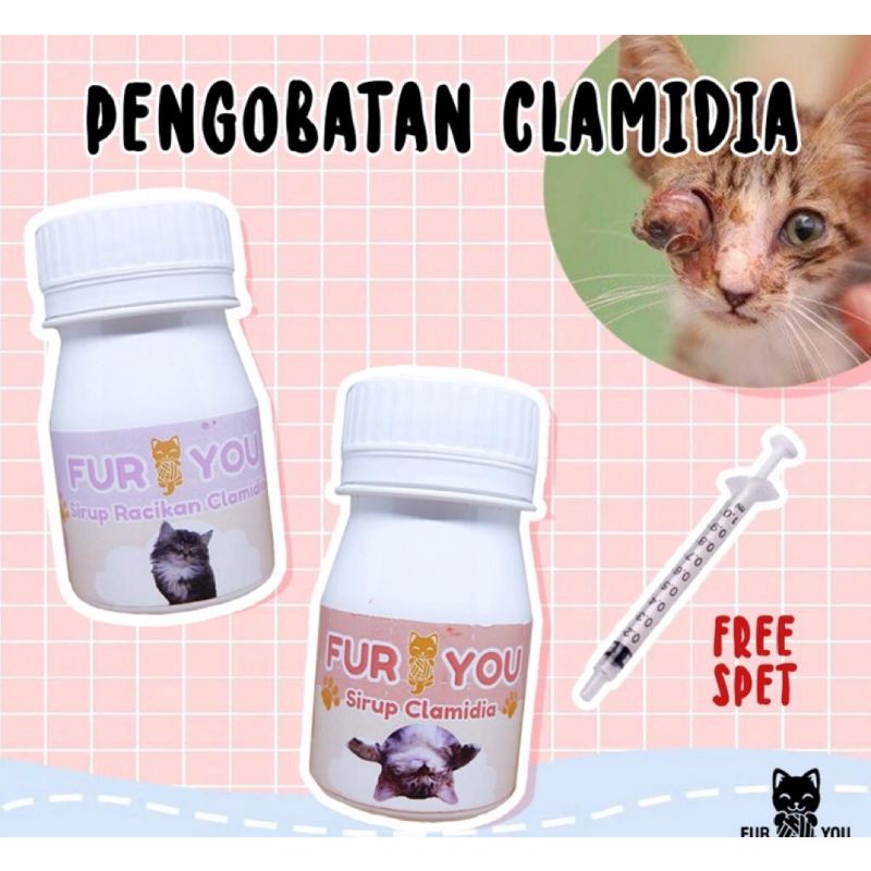 paket obat sirup pengobatan clamidia . obat clamidia kucing