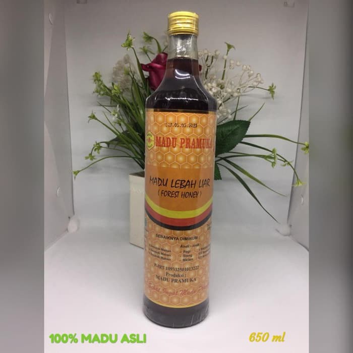 

MADU PRAMUKA (MADU HUTAN/LEBAH LIAR) 650 ml