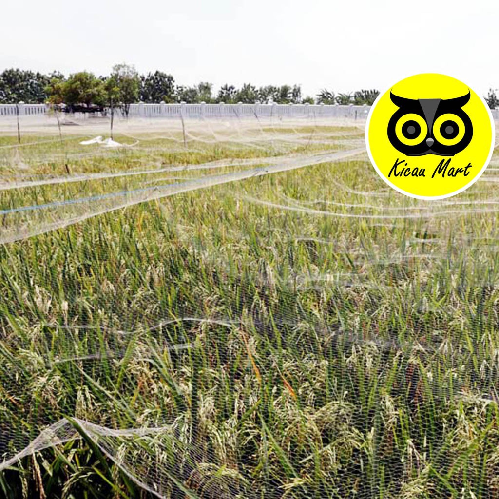 JARING SAWAH JEBAKAN PERANGKAP BURUNG EMPRIT PIPIT KOLIBRI JARING IKAN PADI ANTI HAMA JARING3