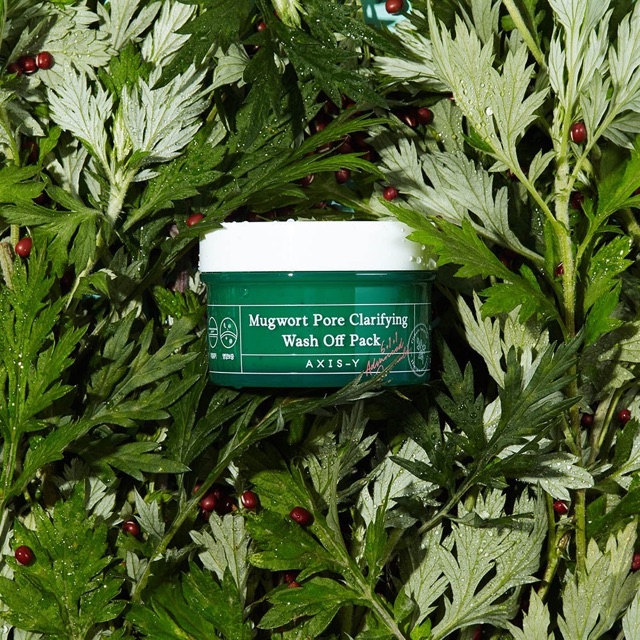 Axis-Y Mugwort Pore Clarifying Wash Off Pack 100ml