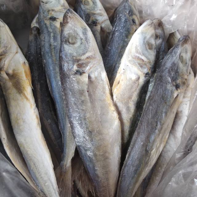

IKAN ASIN LAYANG TERMURAH