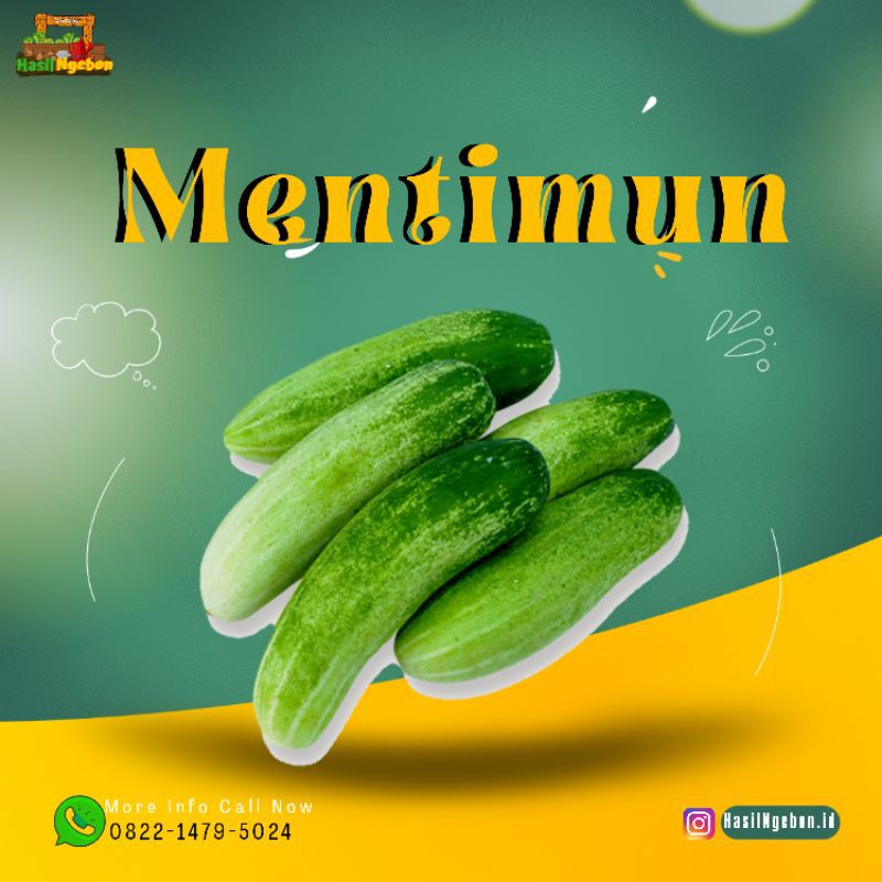 

MENTIMUN 500GR