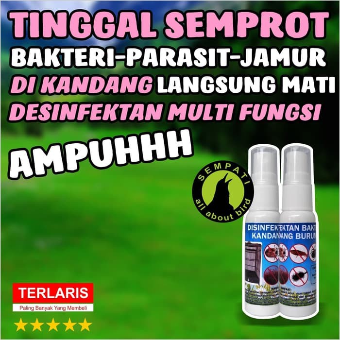 Glk151 Disinfektan Bakteri Kandang Burung Sempati Pembersih Kuman