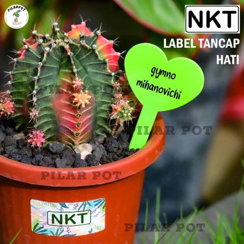 label tag TANCAP HATI tanaman nkt warna warni name tag - PACK ISI 50 PCS LABEL HATI