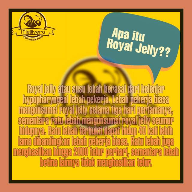 

ROYAL JELLY 250gr