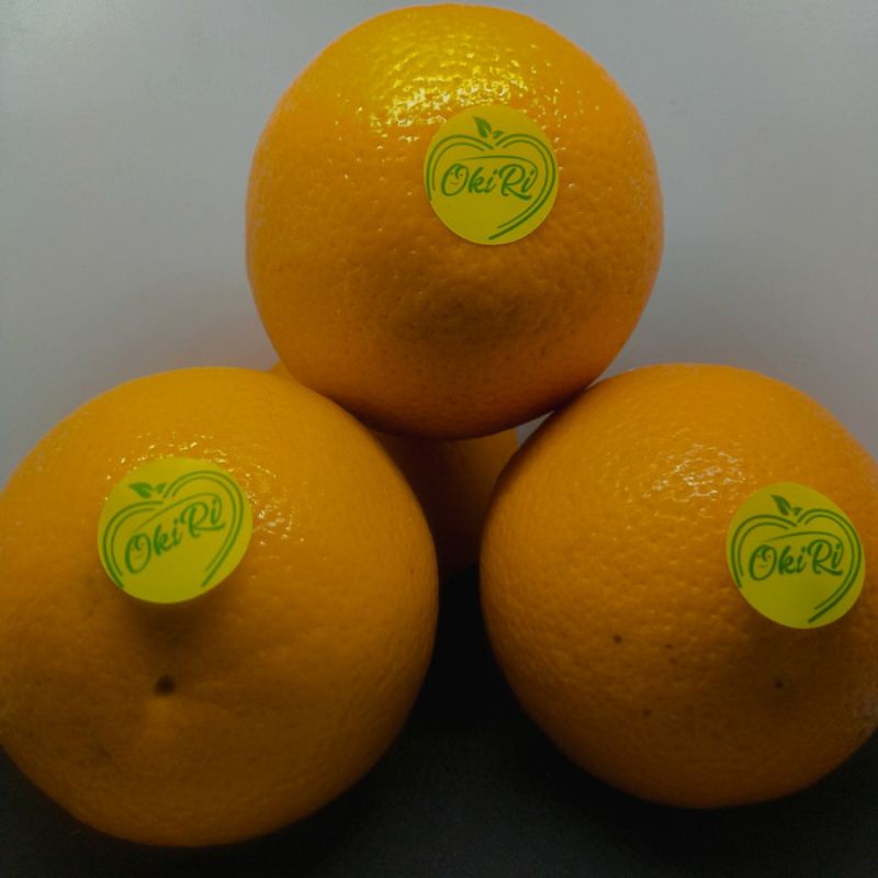 

Jeruk sunkist manis / sunkist / jeruk valencia premium (1 kg )