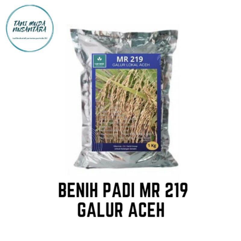 Benih Padi Unggul MR 219 Galur Aceh 1 Kg