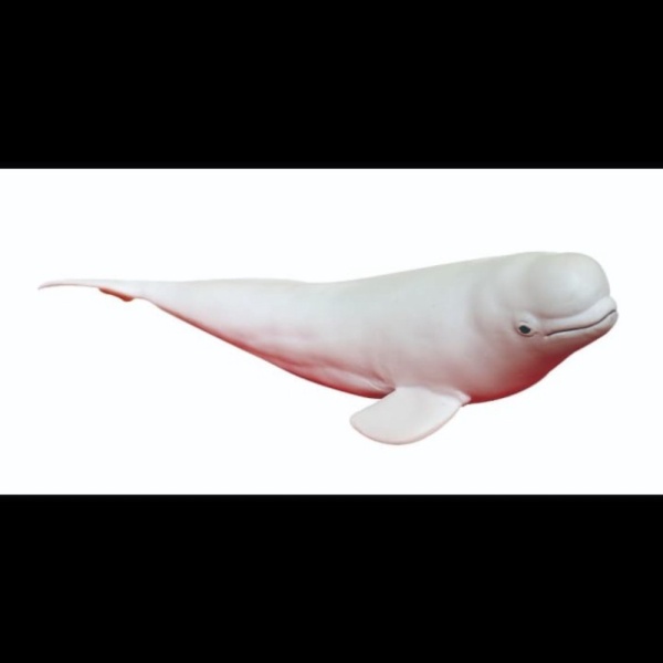 

Dijual Boneka Remas Realistic Ikan Paus Putih Beluga Pesut Duyung Plush Doll Berkualitas