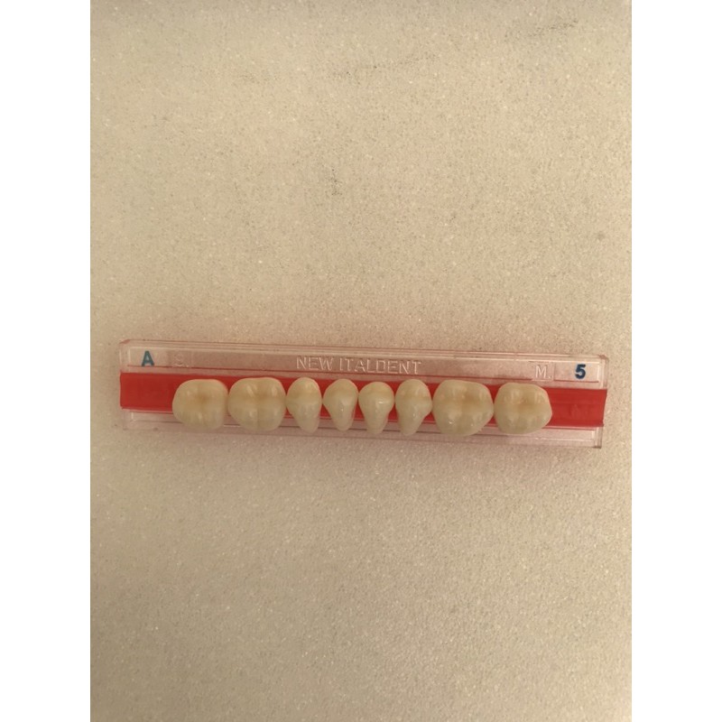 Gigi palsu Italdent Posterior Bawah / Gigi palsu geraham bawah / gigi palsu bagian belakang bawah