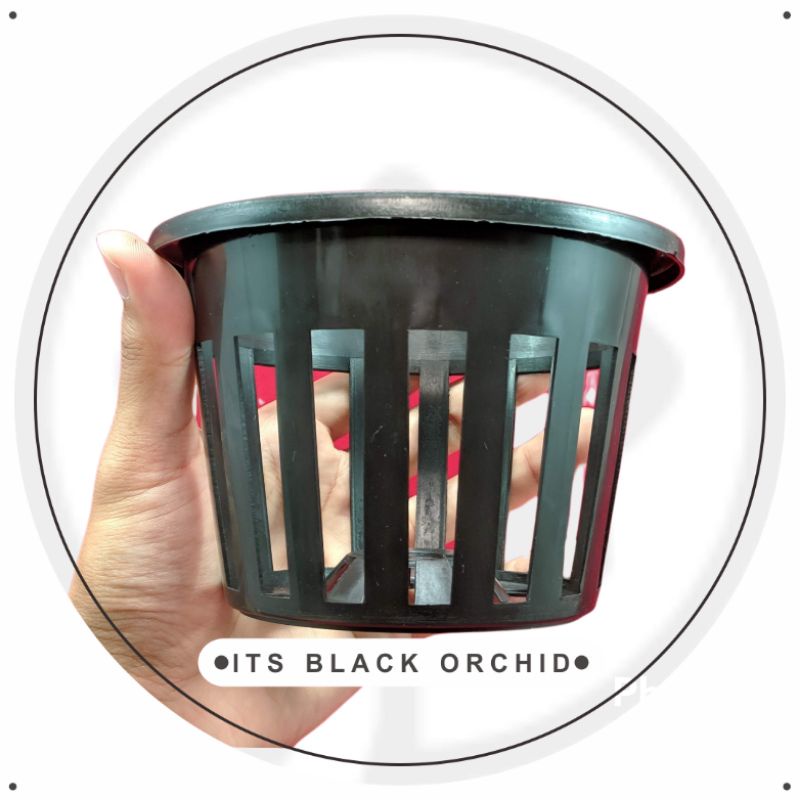 Pot Plastik Anggrek 12 cm | Pot Tanaman Hias Bunga Vanda 12 cm