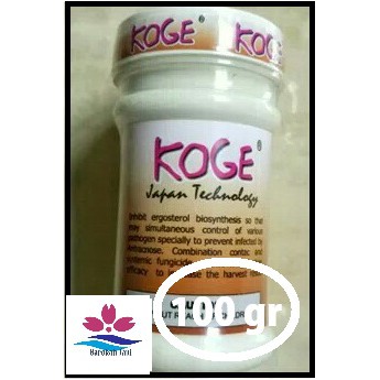 Obat pertanian, obat anti busuk untuk buah cabe koge