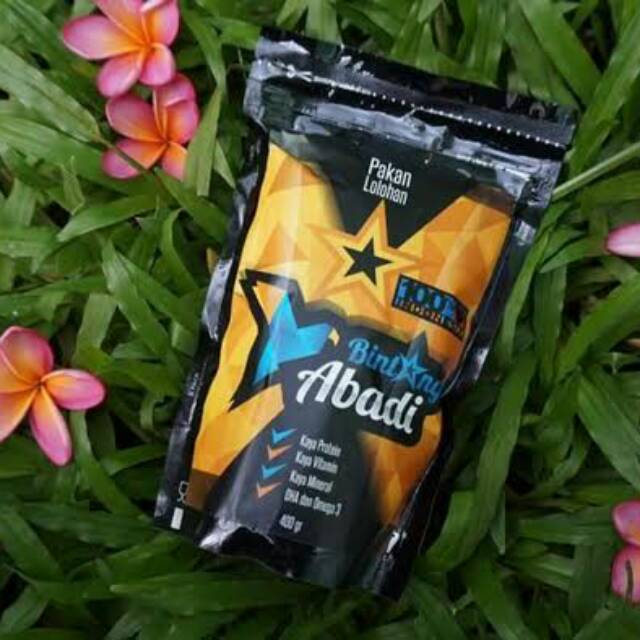 Formula Pakan Burung Lolohan BINTANG ABADI Baby Love Bird Hand Feeding 400 gram