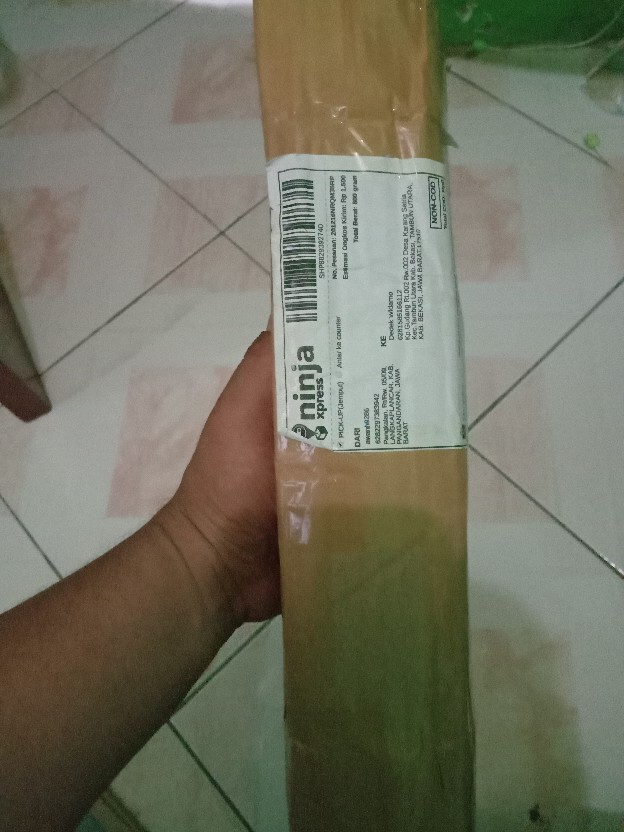 Bibit Strauberi Sudah Tumbuh Dan Berbungga