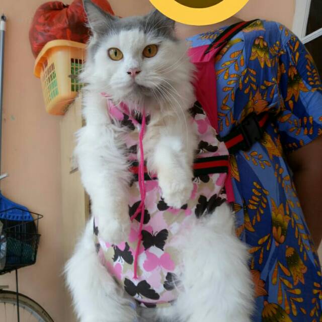 Gendongan kucing motif kupu-kupu tas kucing murah meriah size S-XL