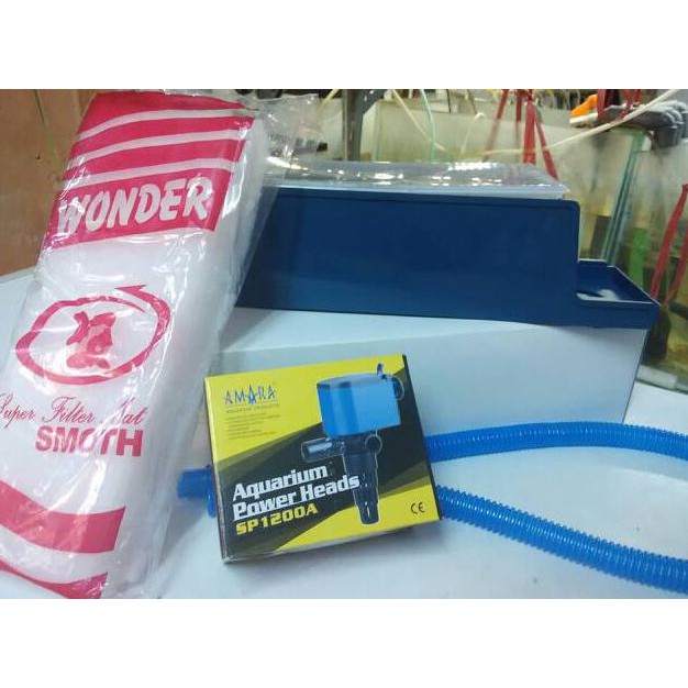 Jual Benih Bibit Bunga Pansy Mix Known You Seed Bibit Bunga Benih Poppy Ladybird 19000  Welcome 