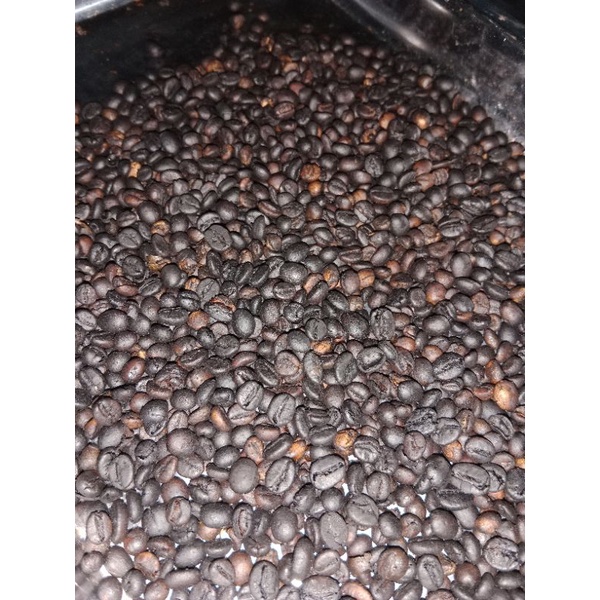 

Biji kopi robusta sangrai