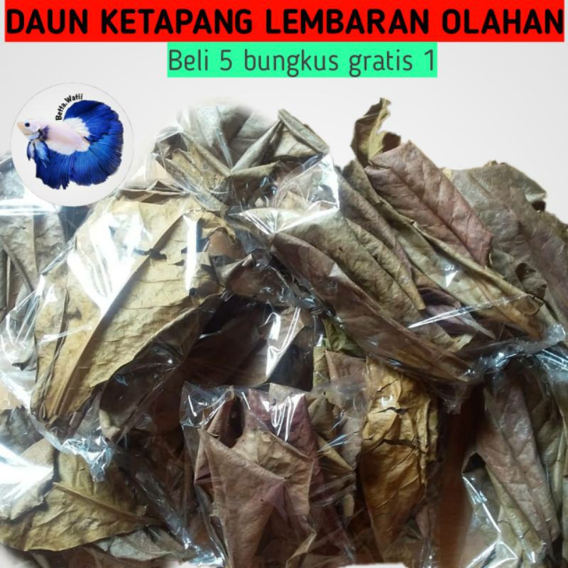 DAUN KETAPANG LEMBARAN OLAHAN SIAP PAKAI(Beli 5 Bungkus gratis 1)