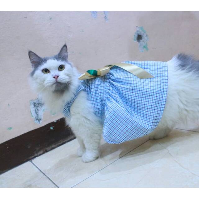 Dress kotak-kotak biru laut lucu untuk kucing dan anjing size S M L XL