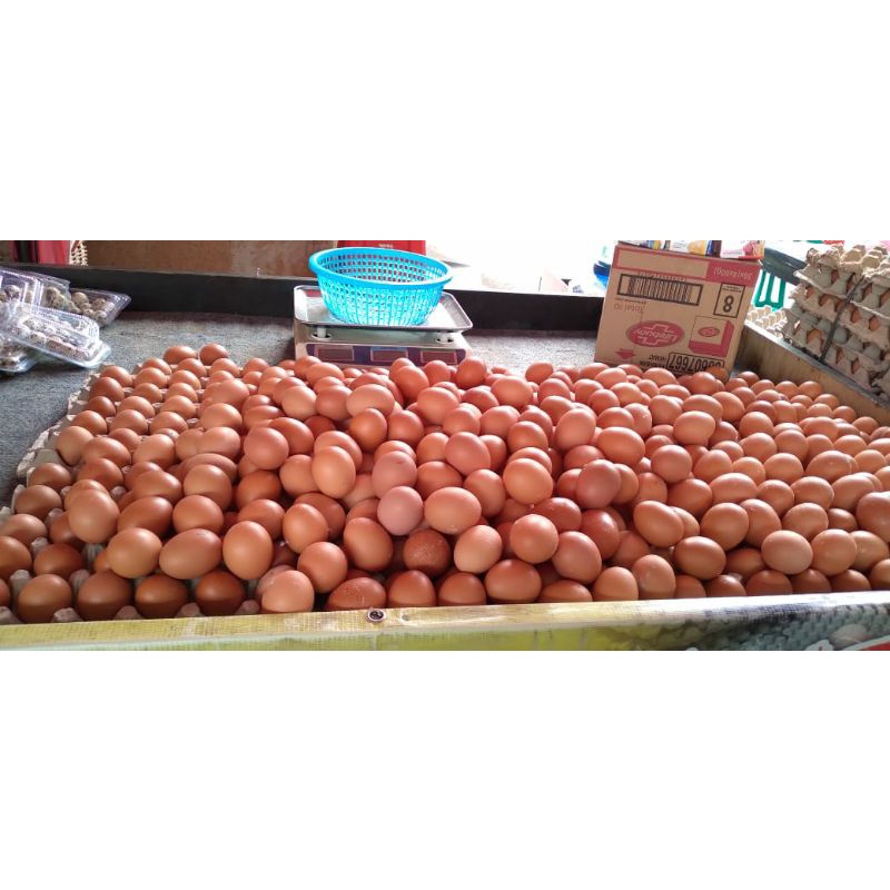 

TELUR AYAM NEGERI