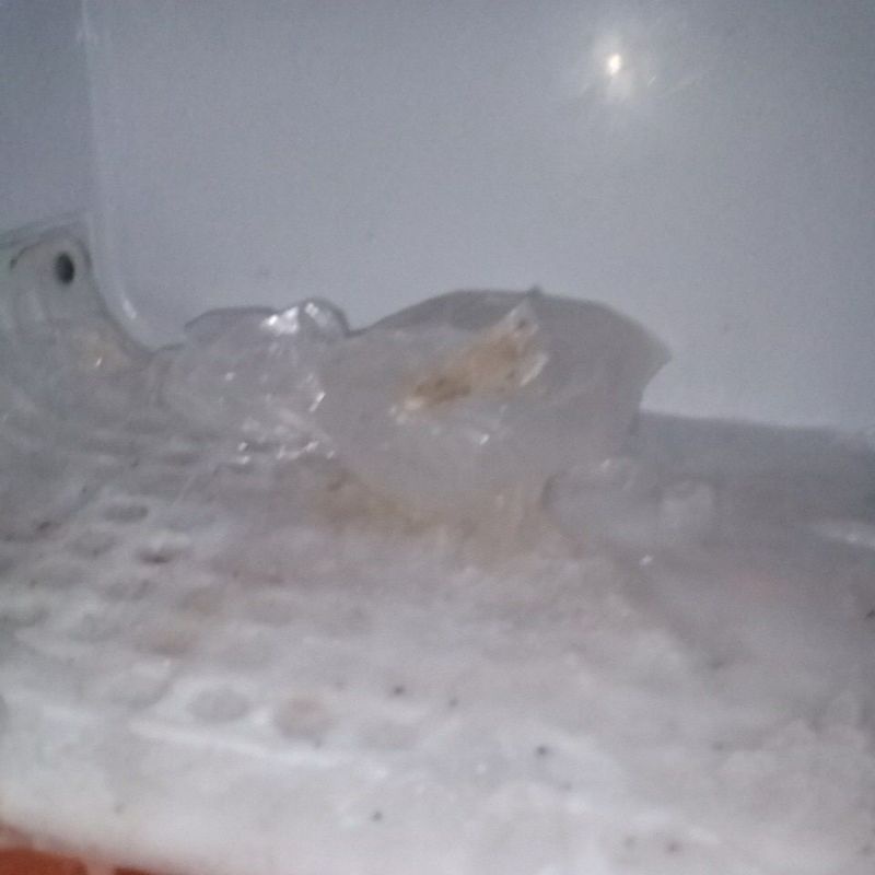 

es batu