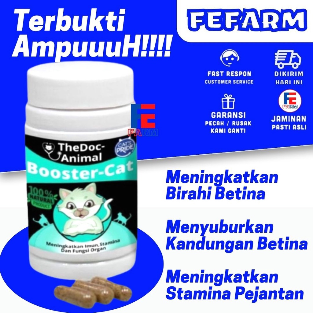 Booster Cat Vitamin Kucing Imunitas, Stamina, Fungsi Organ - ECERAN FEFARM