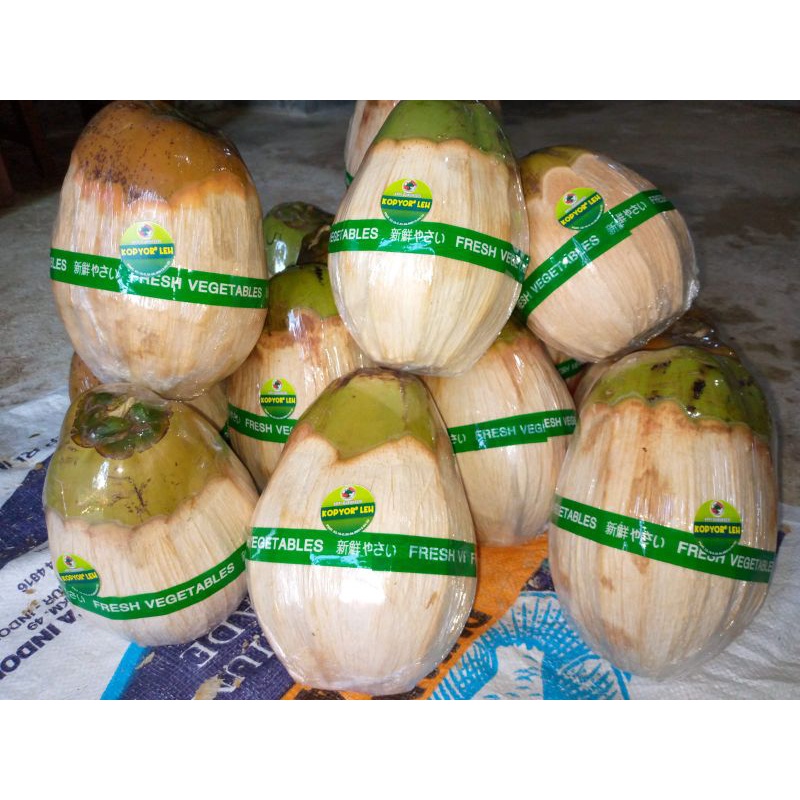 

Kelapa kopyor