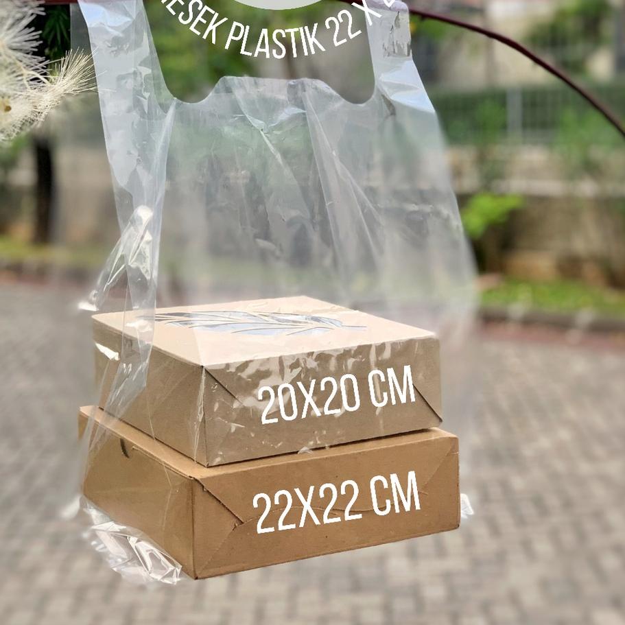 

12.12 tas plastik BENING isi 50 untuk dos 22 x 22 kantong PE PP TRANSPARAN tebal kresek kantung cle