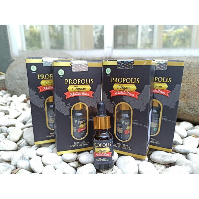 PROPOLIS TRIGONA KHATULISTIWA DETOKS IMUN BOOSTER OBAT ASAM URAT KOLESTEROL DARAH TINGGI AMPUH