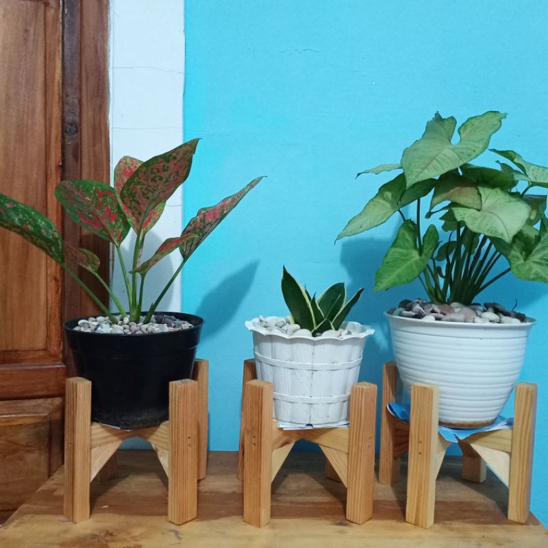 standing pot kayu jati belanda/standing planter tinggi 15cm diameter pot 15cm/ rak kayu