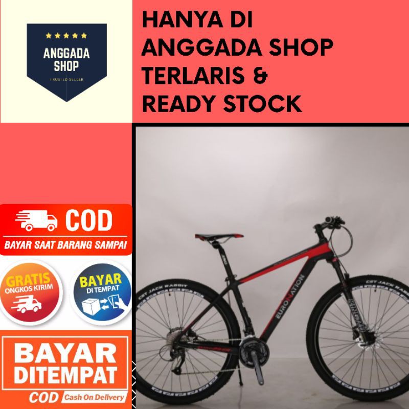 SEPEDA MTB EURONATION CB 29 ER FRAME CARBON