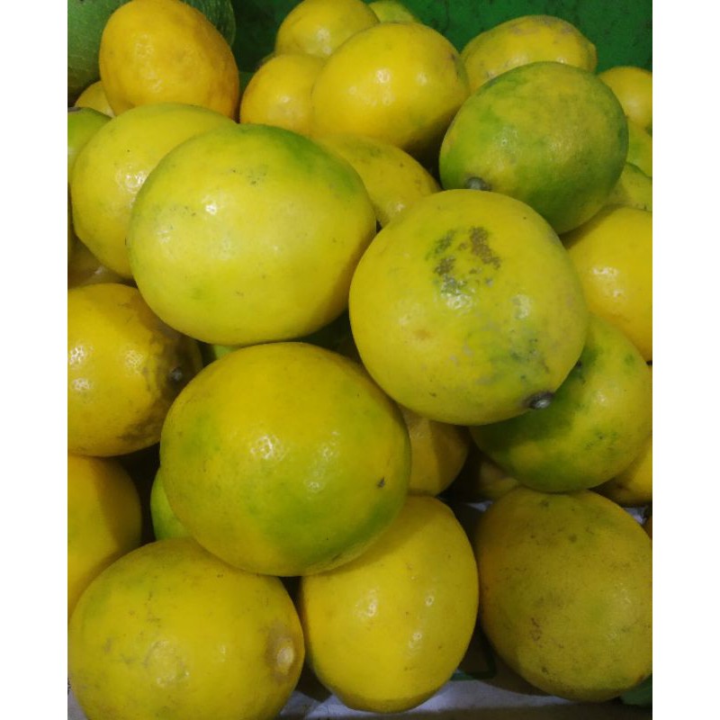 

lemon California lokal segar 500 gram