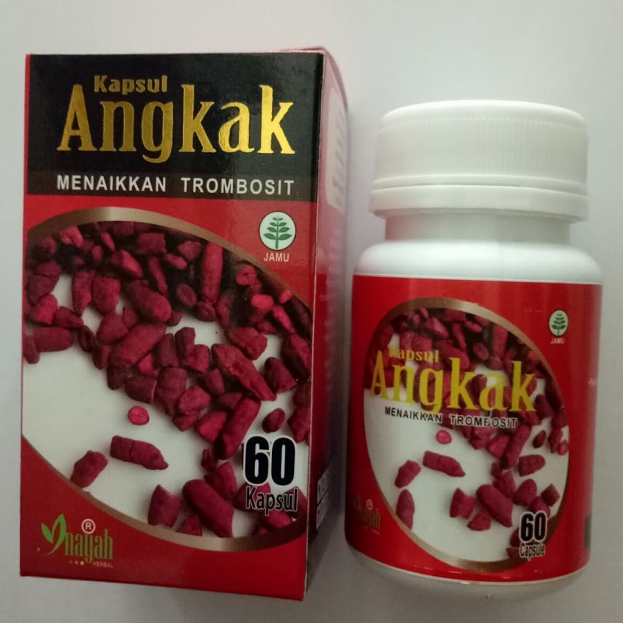 

Kapsul Angkak Inayah Menaikkan Trombosit DBD 60 kapsul