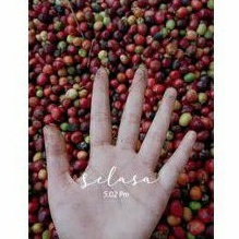 

Kopi Original Gunung Muria