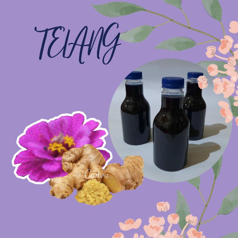 

Minuman Kesehatan telang-250 ml