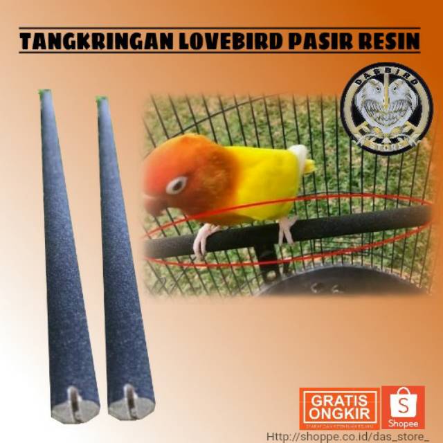 10+ Burung Lovebird Shopee PNG