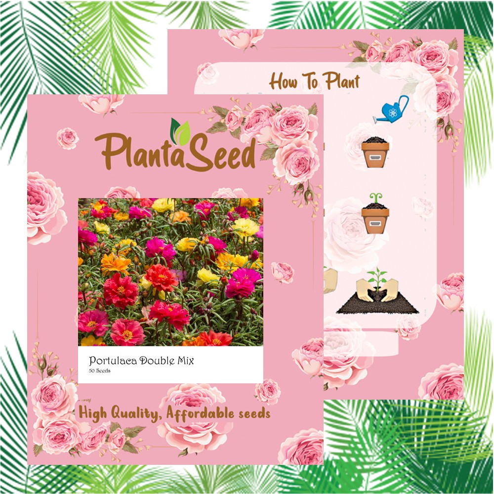 PlantaSeed - 50 Seeds - Portulaca Double Mix Biji Bunga - PAS0229