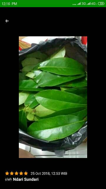 

Daun Herbal 100 lembar Daun sirsak Anti pestisida