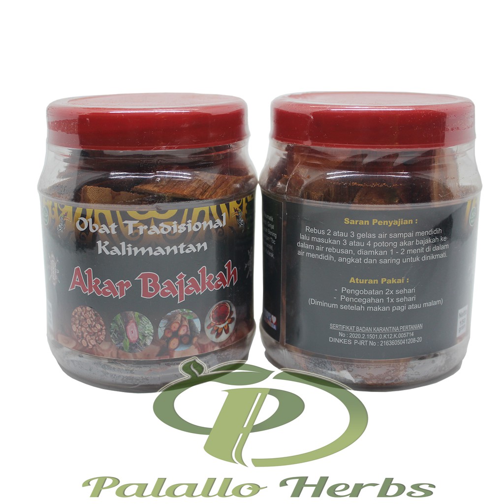 Obat Tradisional Kalimantan | AKAR BAJAKAH Asli 150 gr