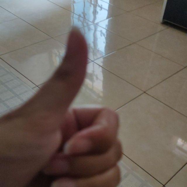 Pinecone / Pinus Kecil