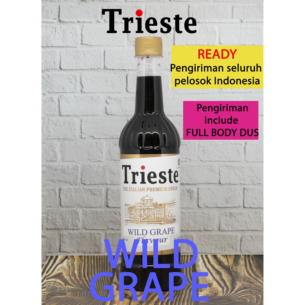 

TRIESTE SYRUP rasa WILD GRAPE