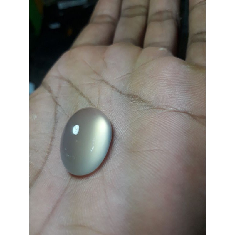 

calsidon anggur pacitan