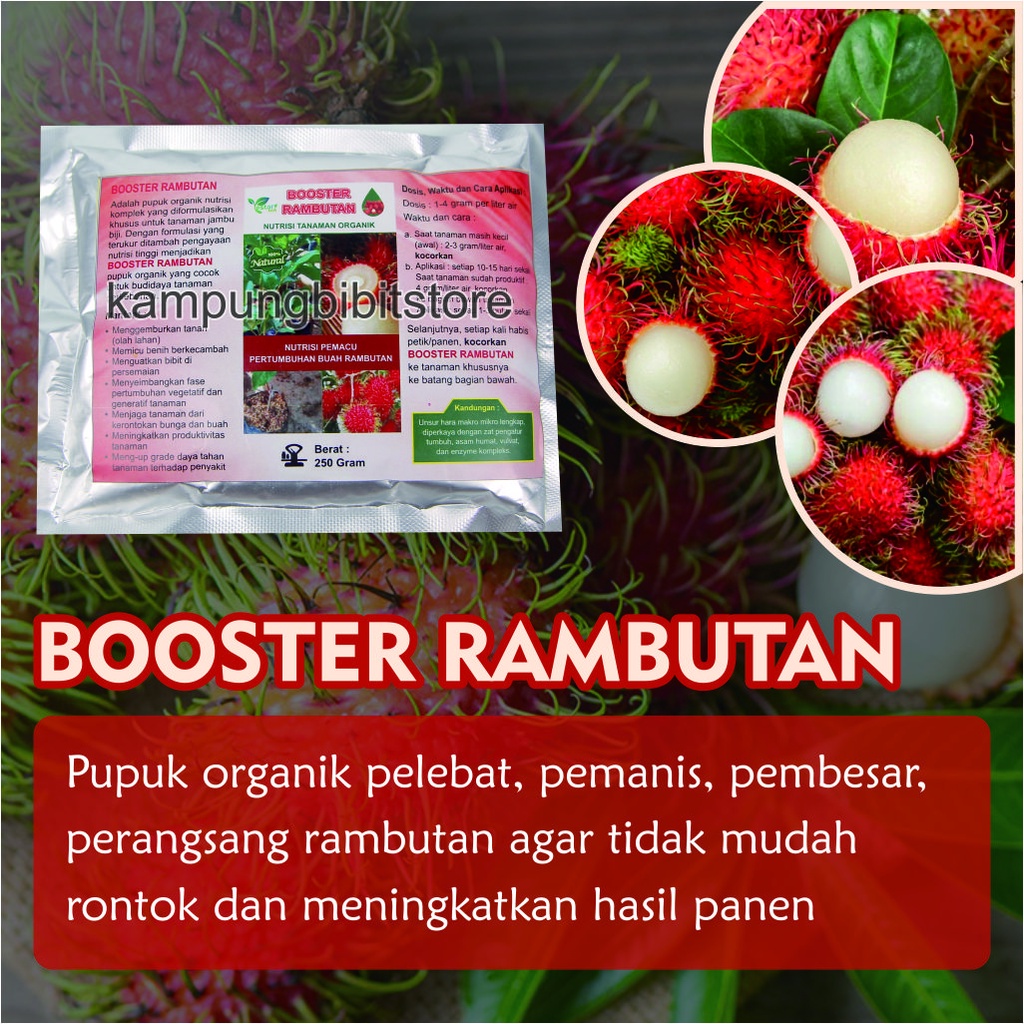 Pupuk Booster Pohon Rambutan, Booster Rambutan Agar Berbuah Lebat