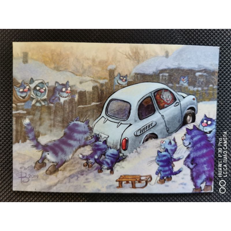 

kartu pos bluecat/bluecat postcard