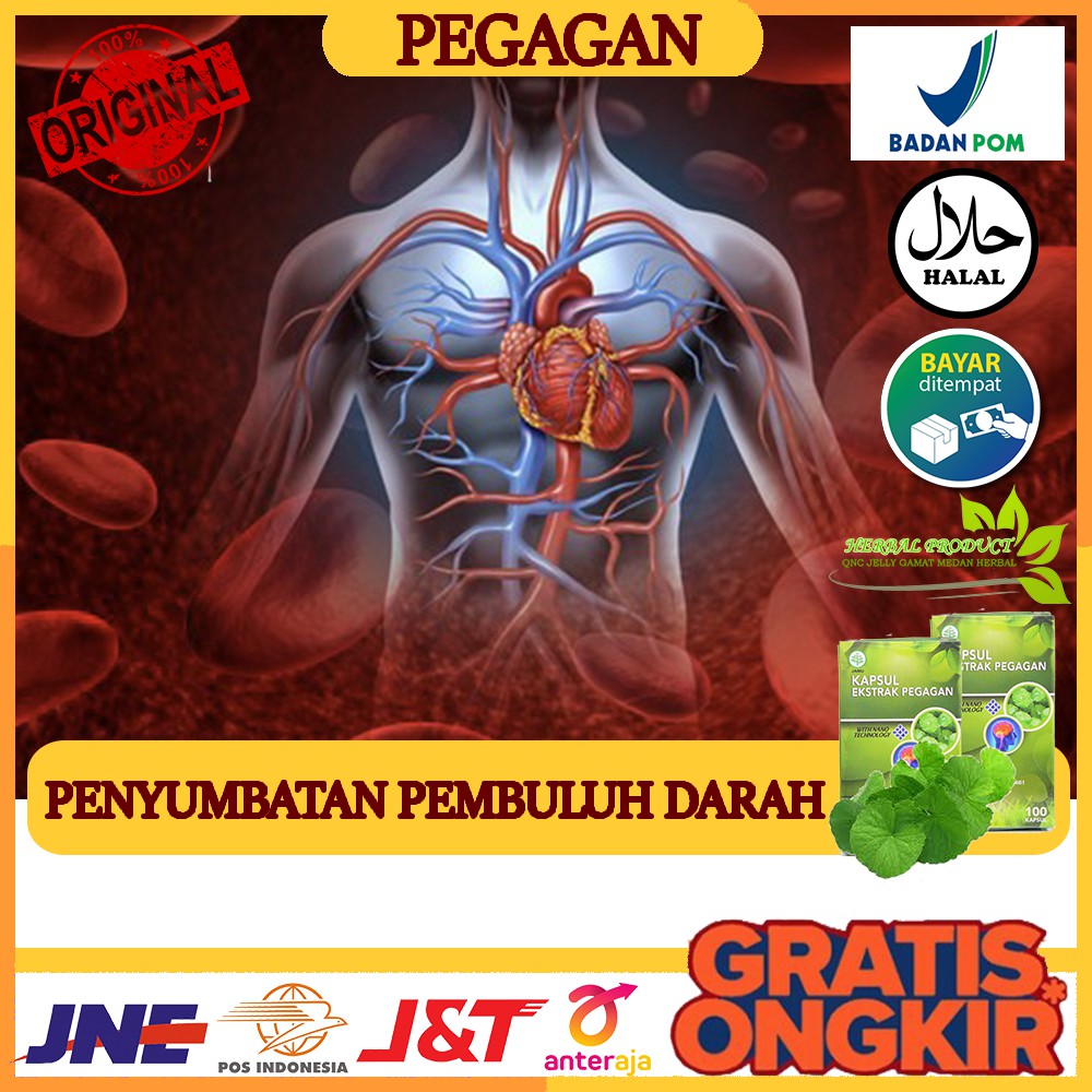 Obat Herbal Penyumbatan Pembuluh Darah Darah Beku Di Otak Penyumbatan Darah Di Kepala Pegagan Shopee Indonesia