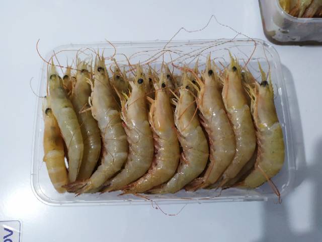 

Udang Laut Utuh Fresh Beku RJ Fish 500gr
