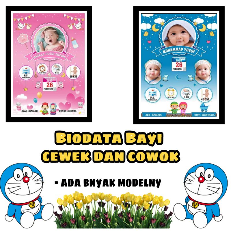 Jual edit biodata bayi murah Indonesia