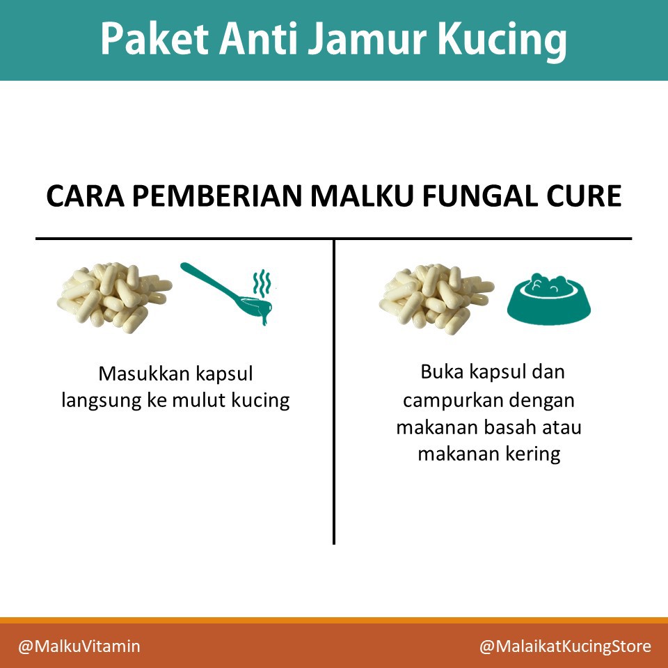 Paket Malku Anti Jamur Kucing, Ringworm, dan Scabies - Malku Vitamin